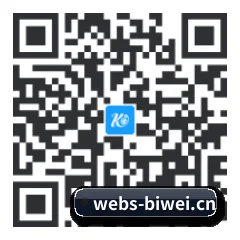 系统版 iOS 二维码